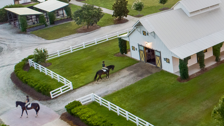 Equestrian Jobs: Be A Horse Show Director, Equestrian Trainer And More ...